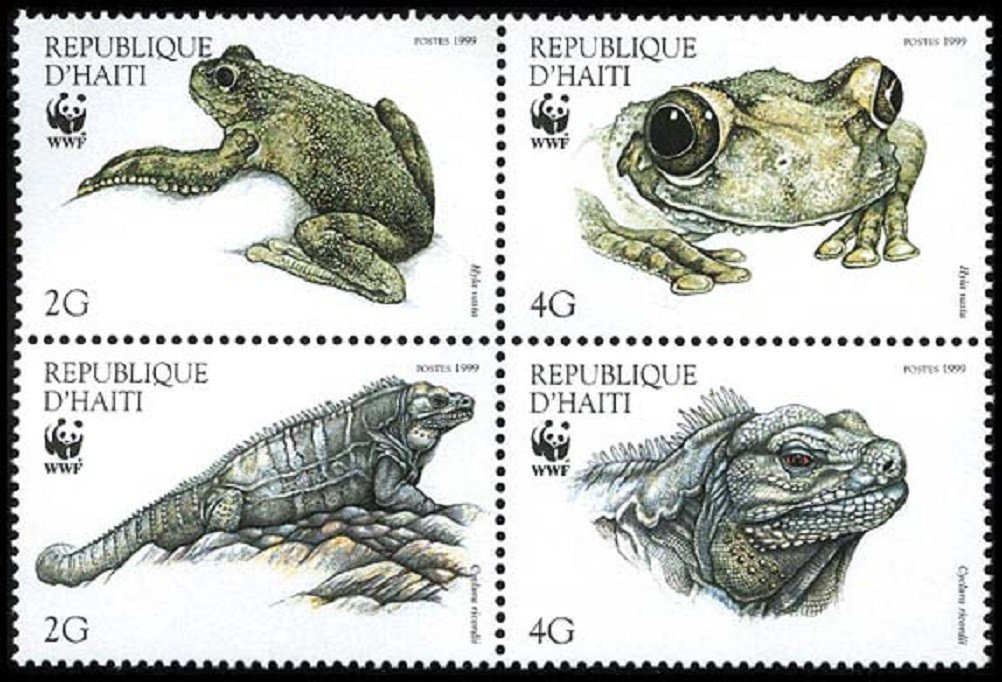 Haiti WWF Ground Iguana and Giant Tree-frog 4v Block of 4 1999 MNH