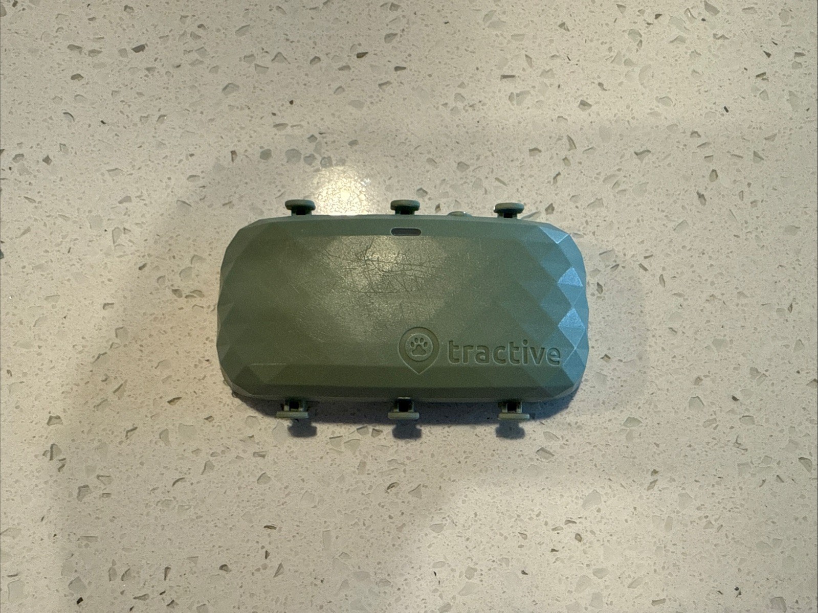 Tractive XL GPS Tracker & Health Monitoring for Dogs 40 lbs Green