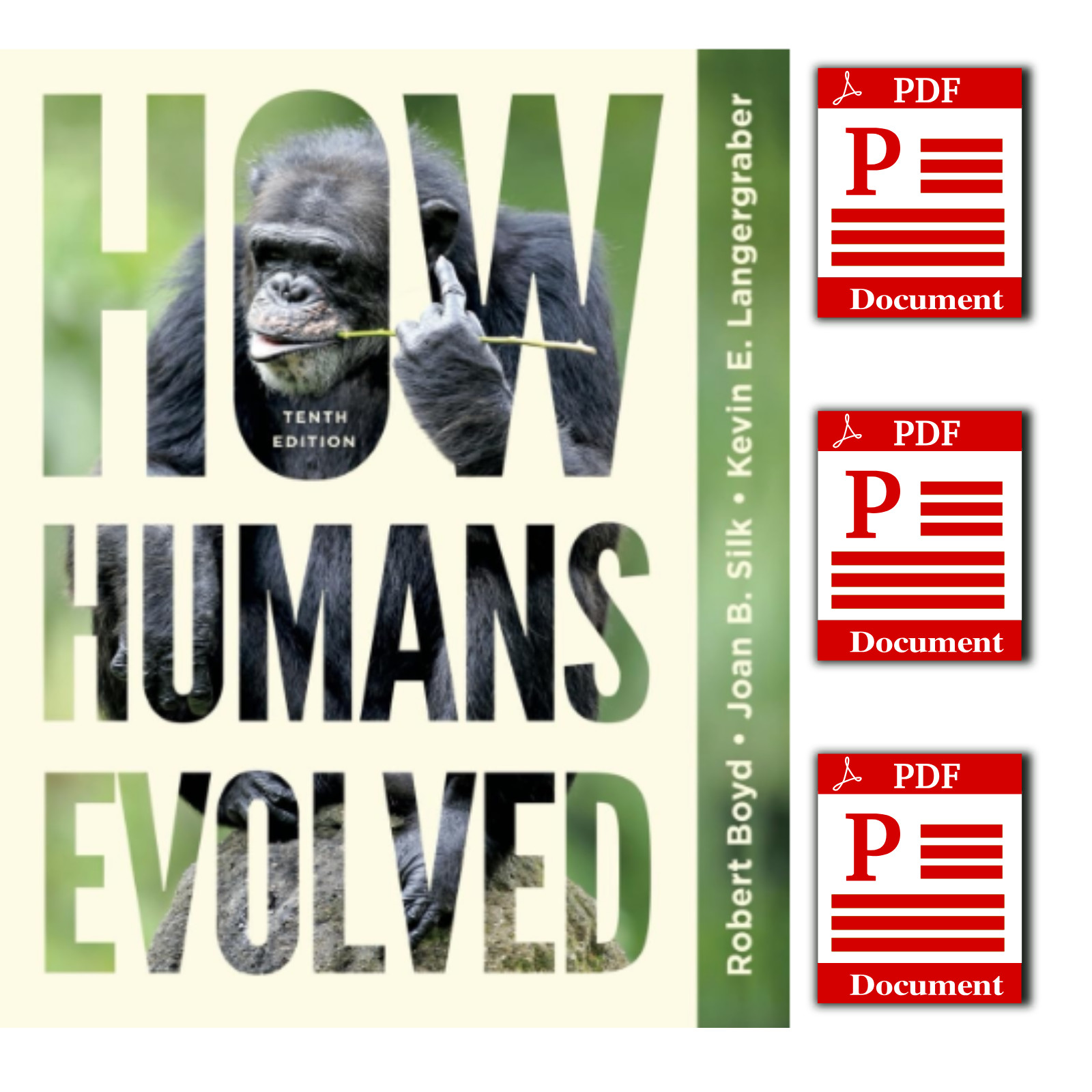 How Humans Evolved 10th ed. Edition