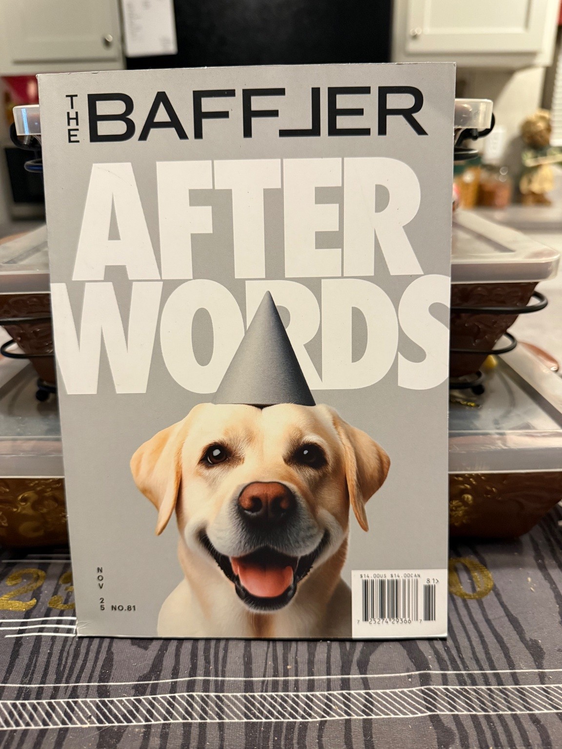 The Baffler Magazine November 2025 Issue 81 Happy Dog Party Hat After Words