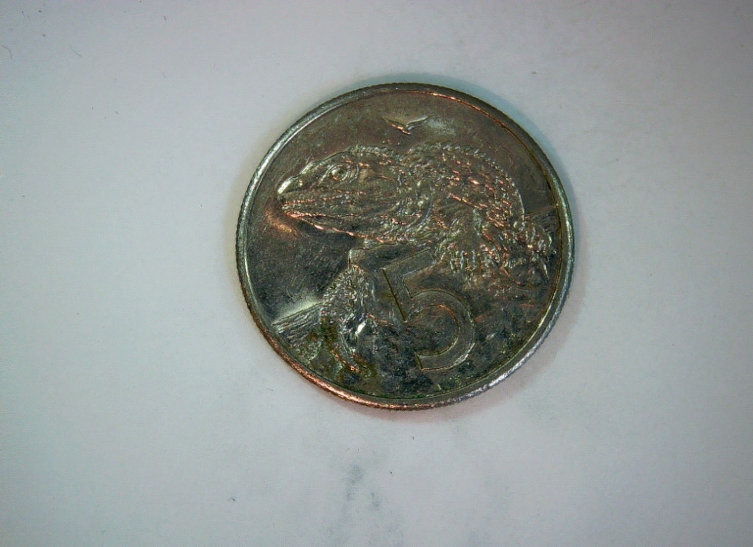 New Zealand 1986 5 Cents Elizabeth II 3rd portrait / Tuatara Coin