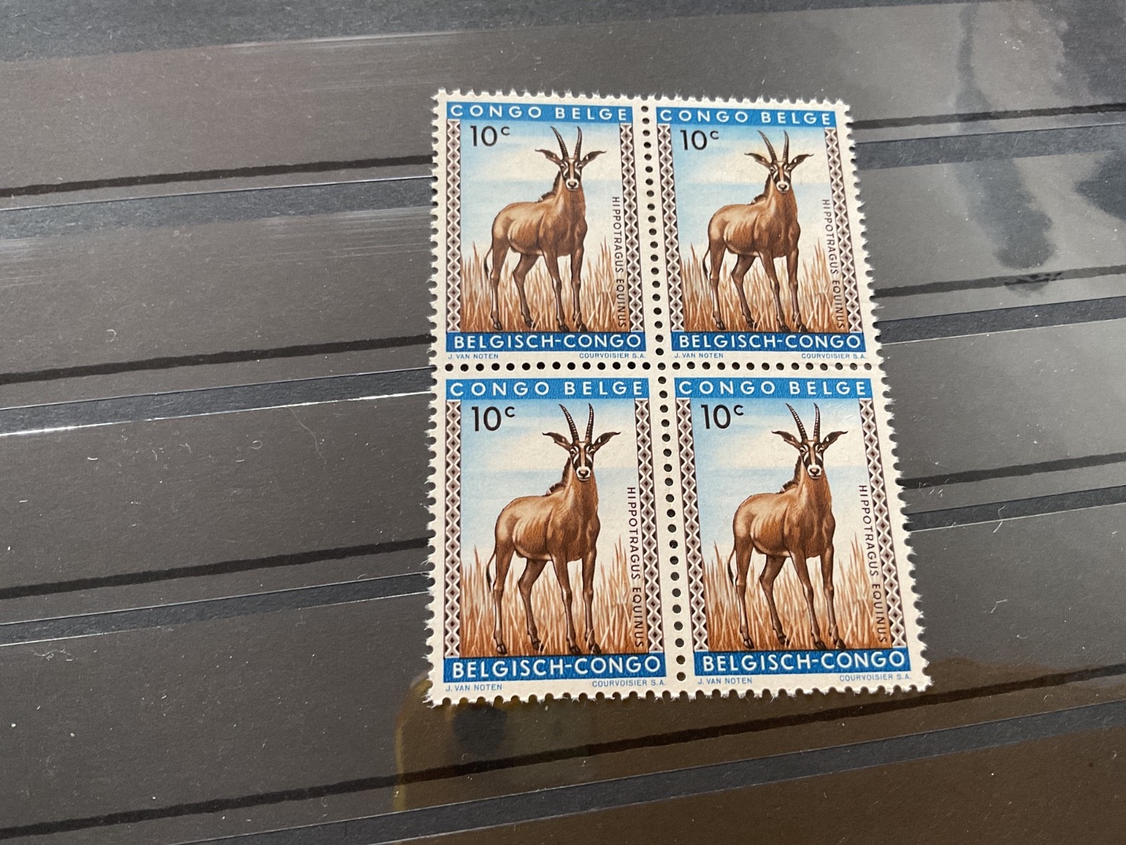 Belgian Congo without ovpt Antelope  mint never hinged  stamps block  B3385