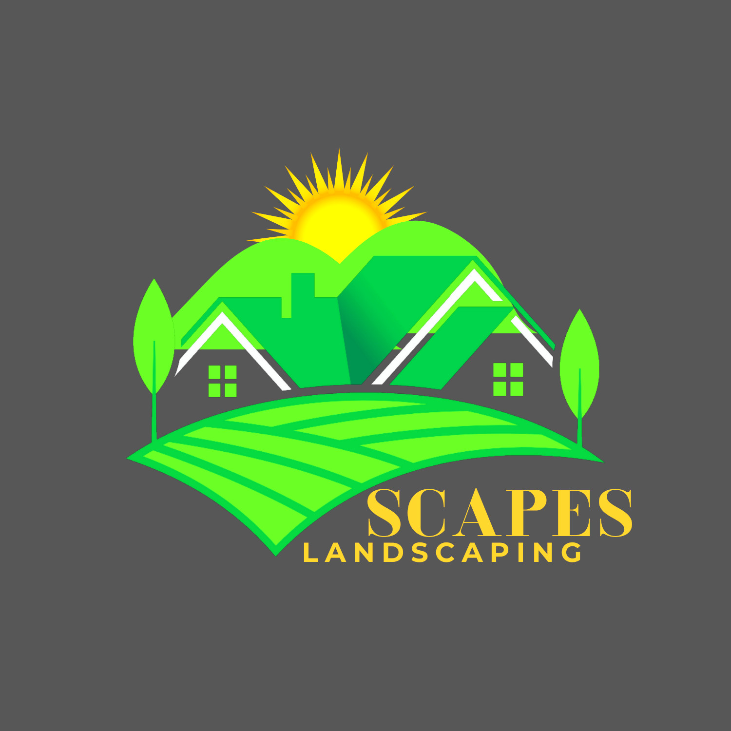 Logo Designer Creator Graphic Designer