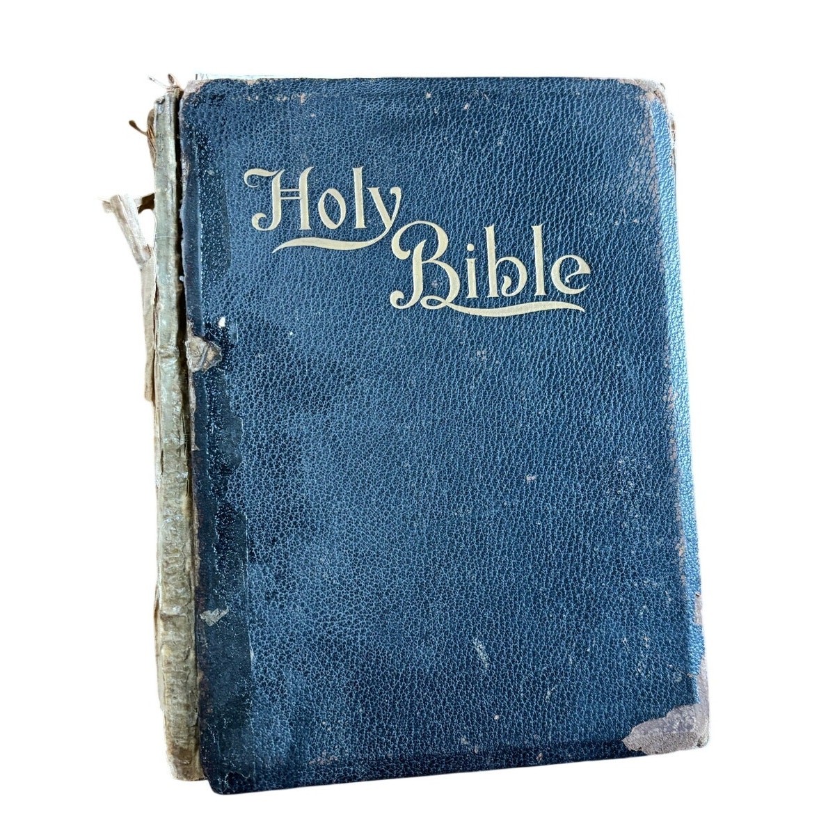 Antique The New Illuminated Holy Bible 1897 Frank E. Wright AS IS