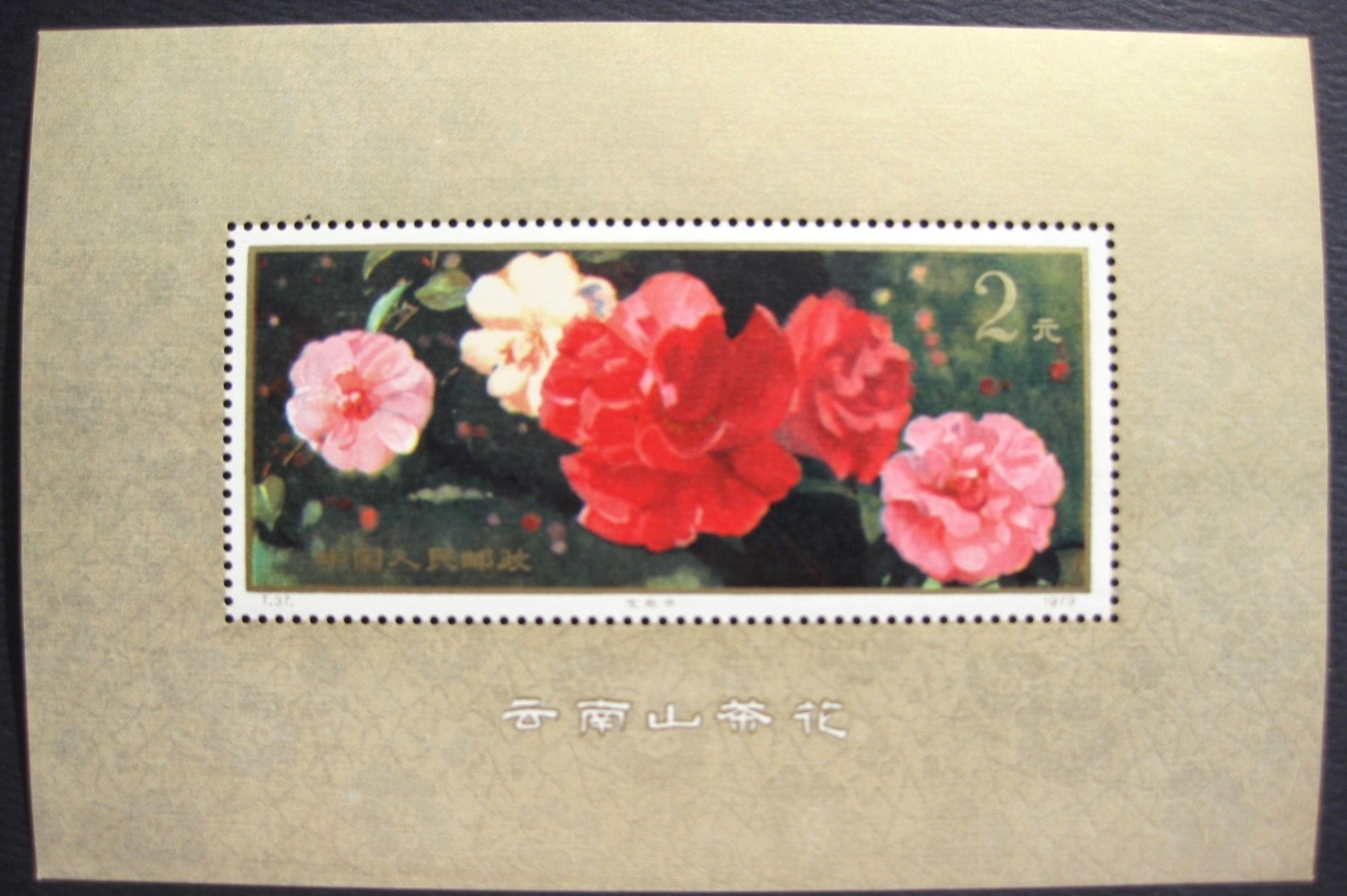 China November 1979 – VERY RARE 47 Year Old Miniature Sheet in Mint Condition