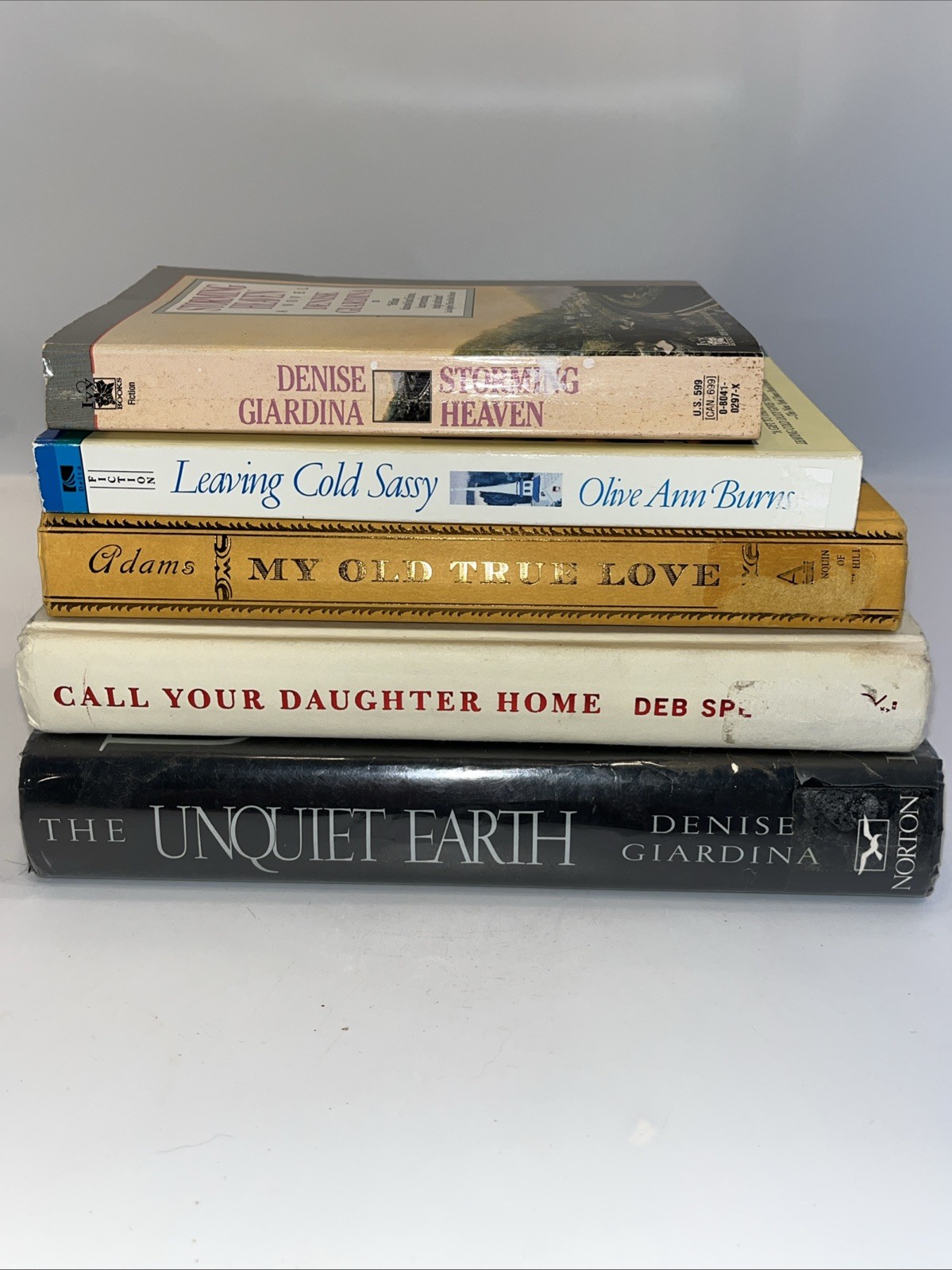 Lot Of 5 Novels Of Appalachian Mountains WV, KY, GA, SC Family Sagas,Coal Mining