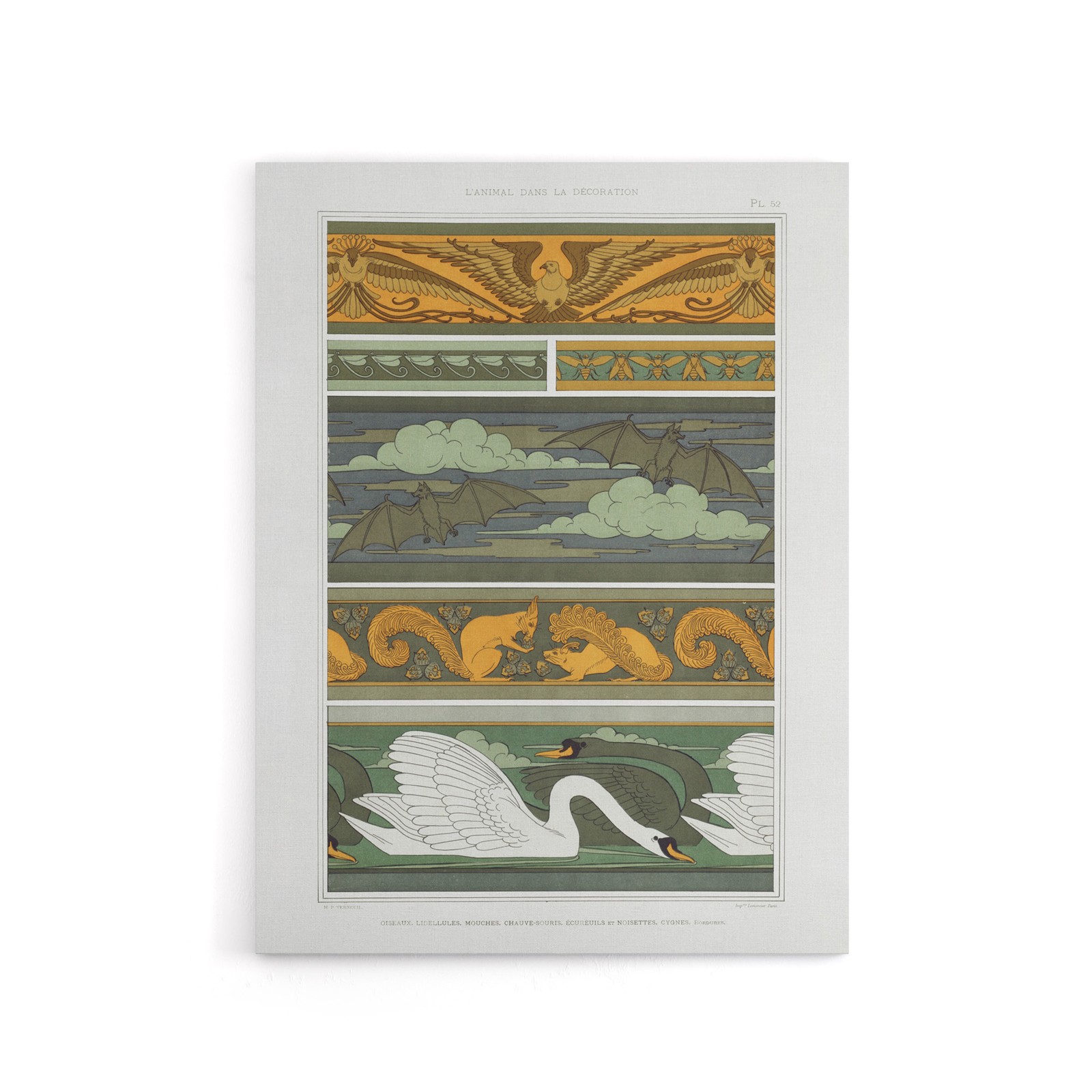 Birds Bats Squirrels Swans Canvas Wall Art Print Verneuil