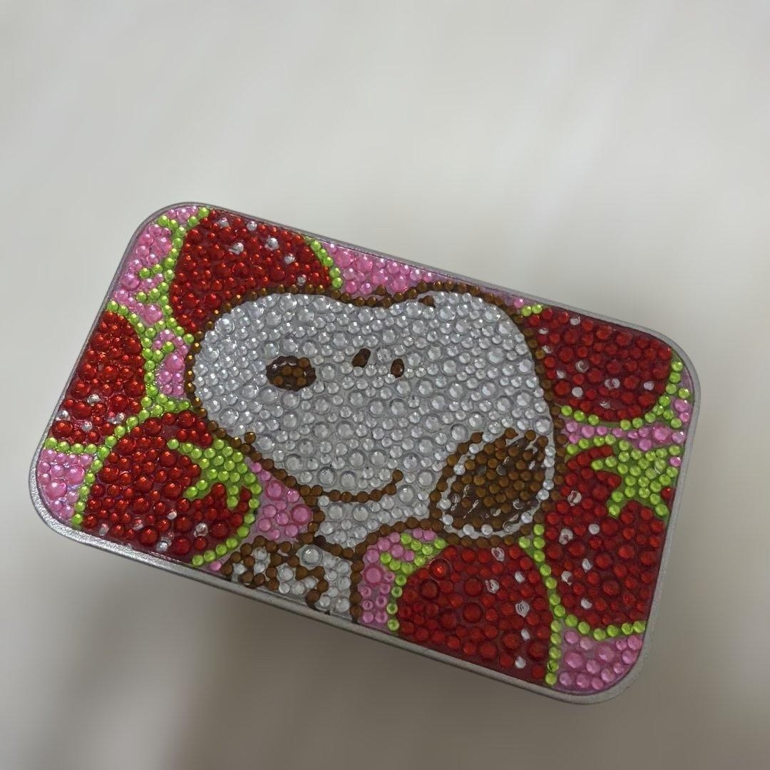 Peanuts Snoopy Slide Tin Case Limited to Sano City Tochigi Japan Character Gift