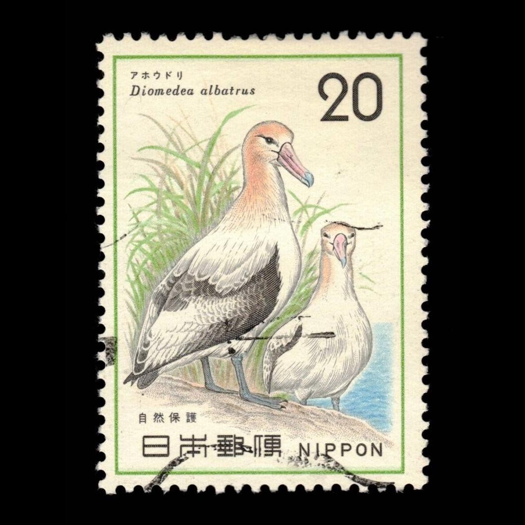Japan, Scott 1199, Short-tailed Albatrosses, 1975, used, 114681