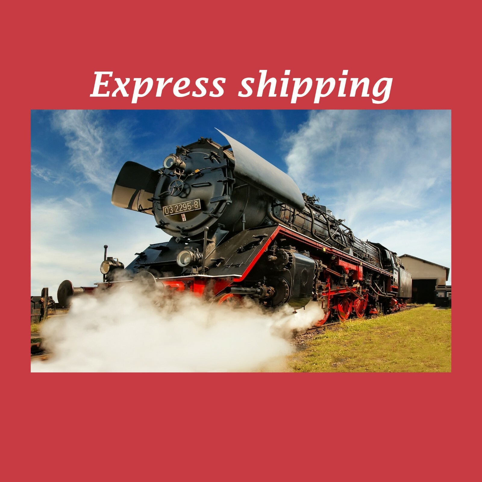 Express shipment to USA