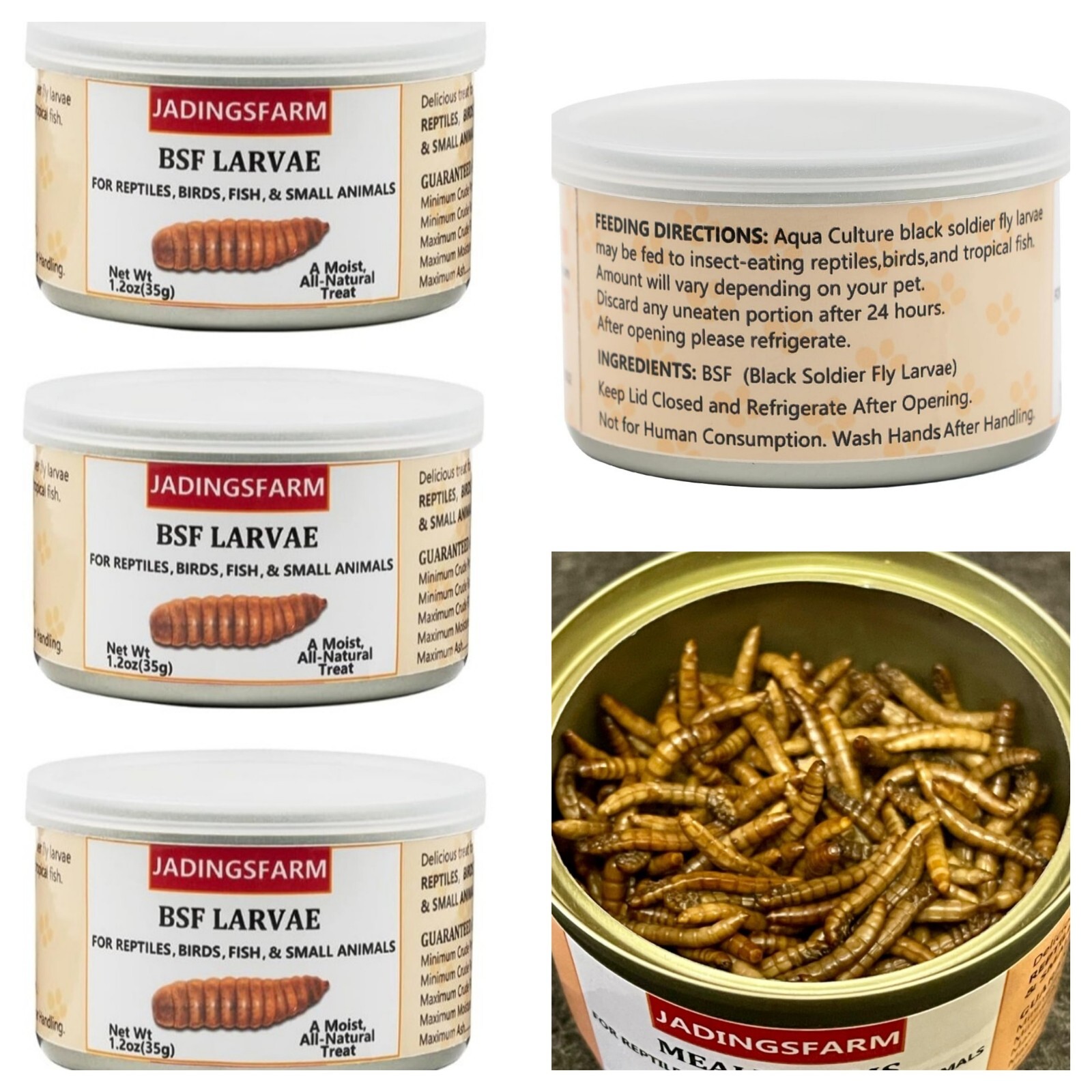 3x Canned Black Soldier Fly BSF Larvae (1.2oz Cans) Moist For Reptiles Chickens 