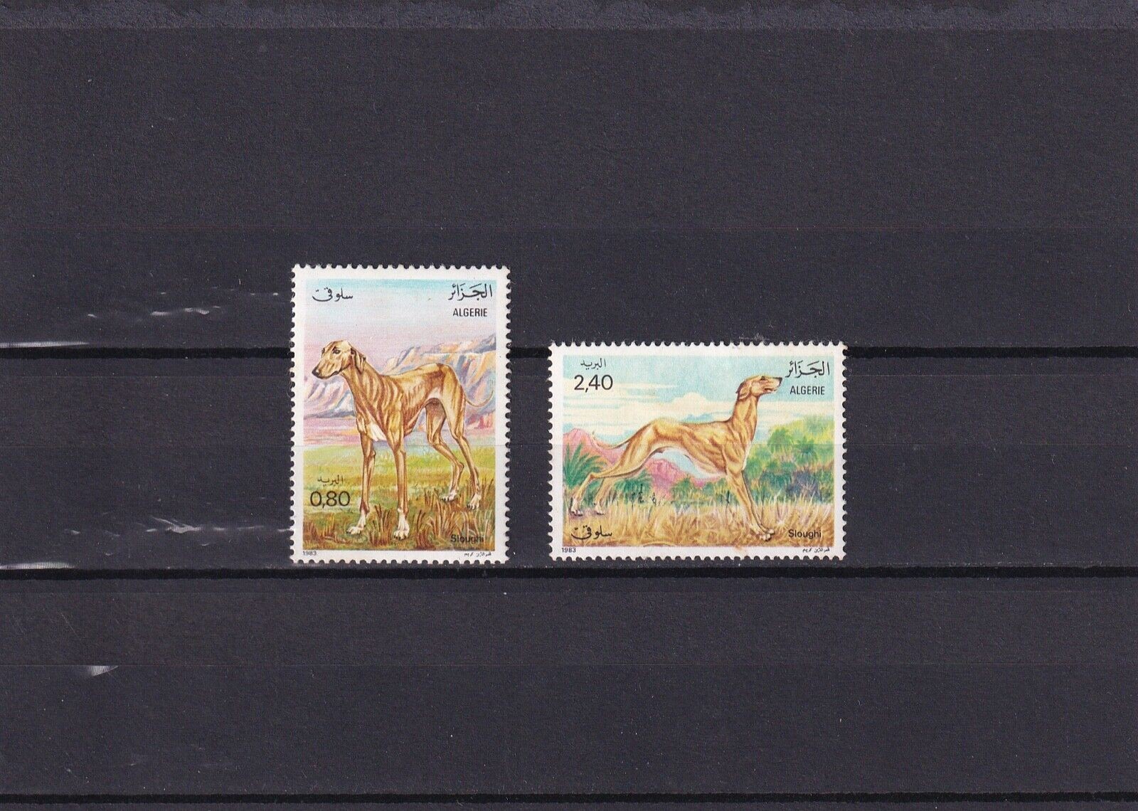 G015 Algeria 1983 Arabian Greyhound mint stamps