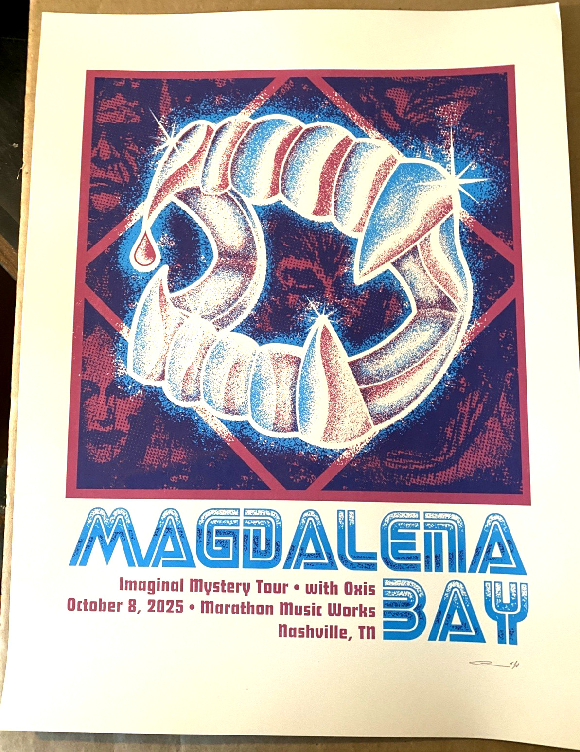 OFFICIAL Magdalena Bay Imaginal Mystery Tour CONCERT AP POSTER Nashville TN 2025