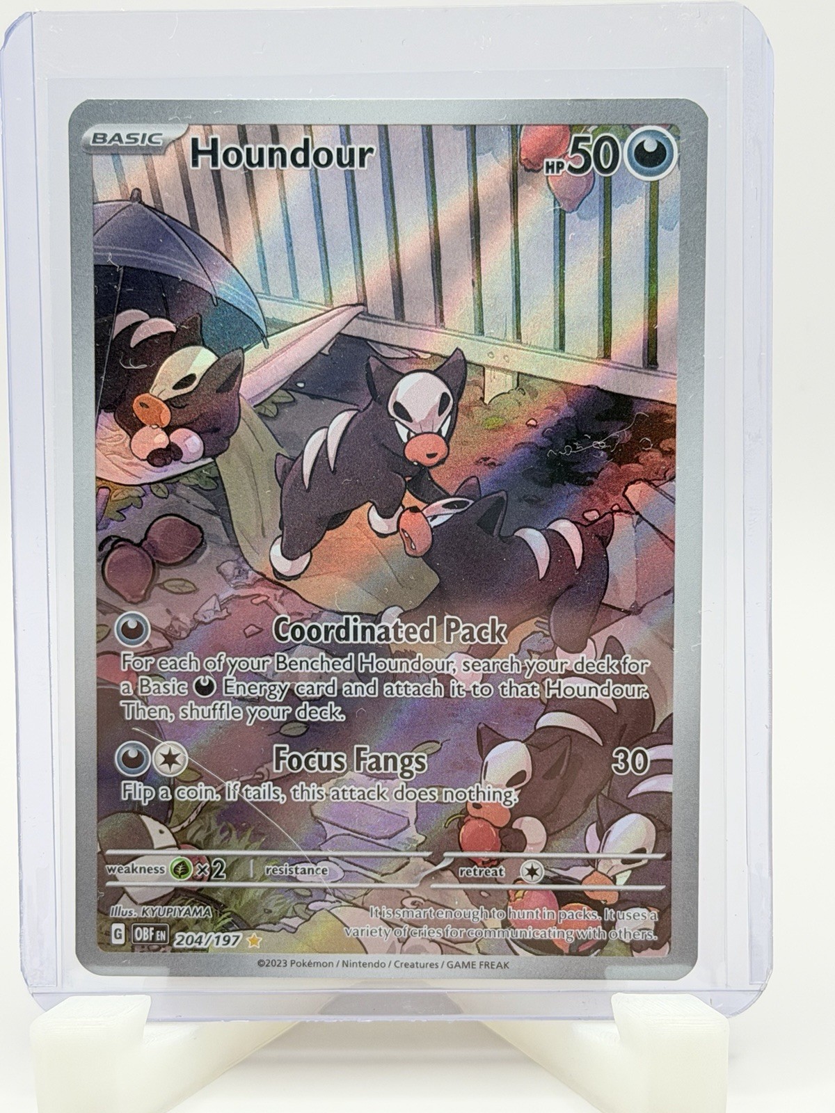 Houndour 204/197 - SV03: Obsidian Flames - (NM)
