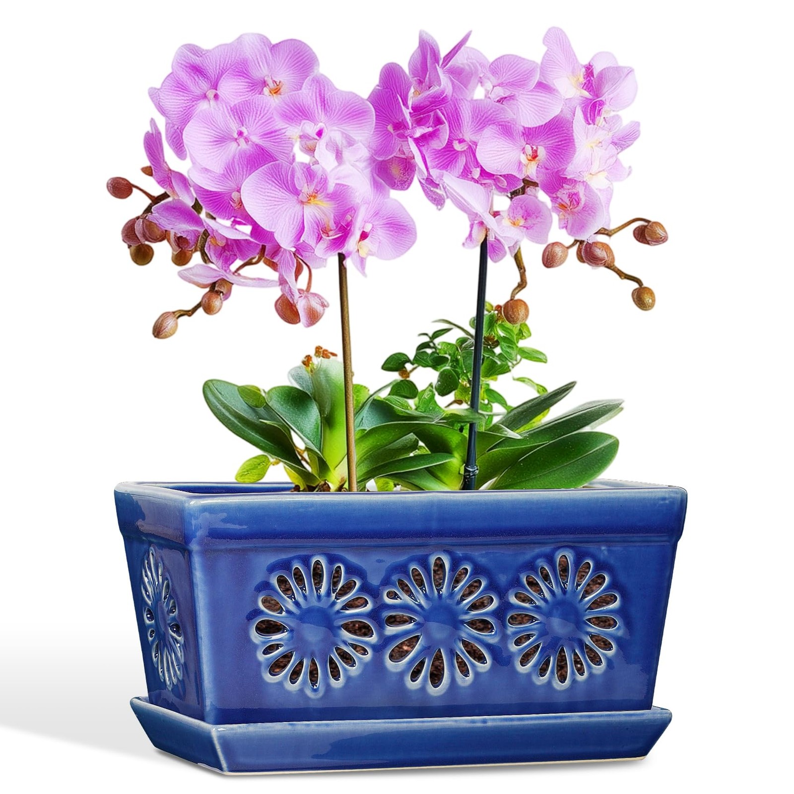 EFISPSS 10 Inch Orchid Pot, 8 inches (L) x 7 (W) x 8 (H), Blue 