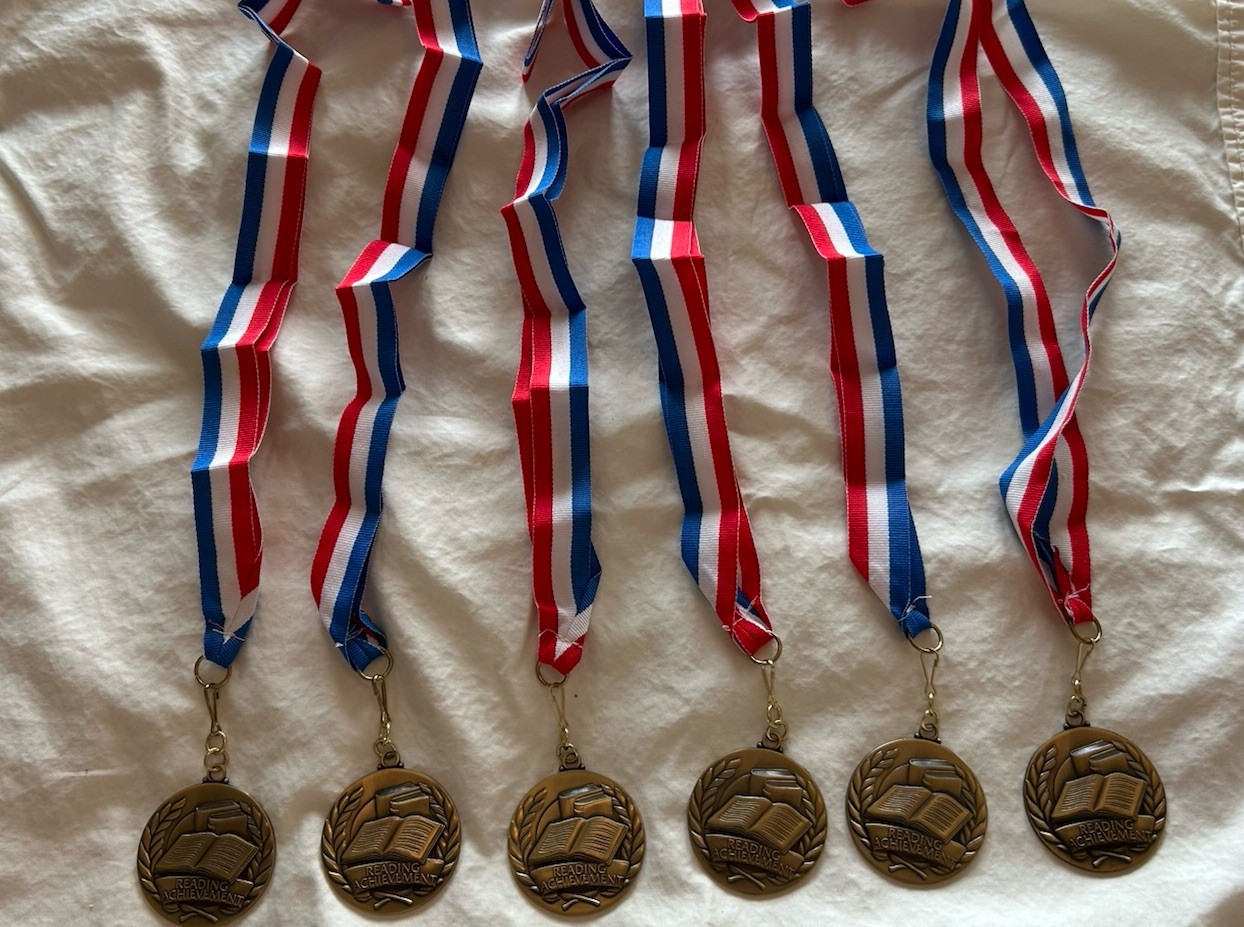 Lot Of 6 Bronze Tone Metal Reading Achievement Medals Blank On Ribbon