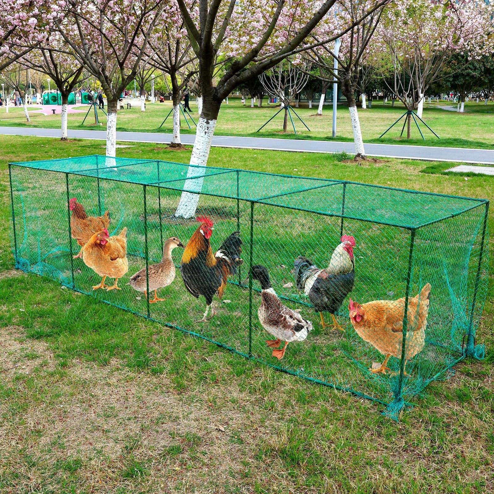 UNIFAMILY Large Chicken Tunnels,126 x 31IN Portable Chicken Coop Cube Run, DI...