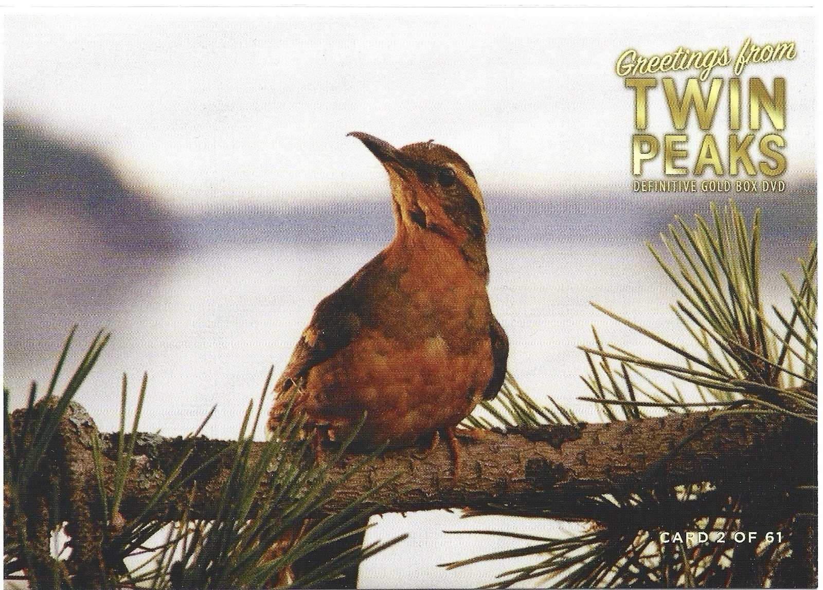 Twin Peaks Gold Box Postcard #2 of 61 - Bird from Open + BONUS (READ)