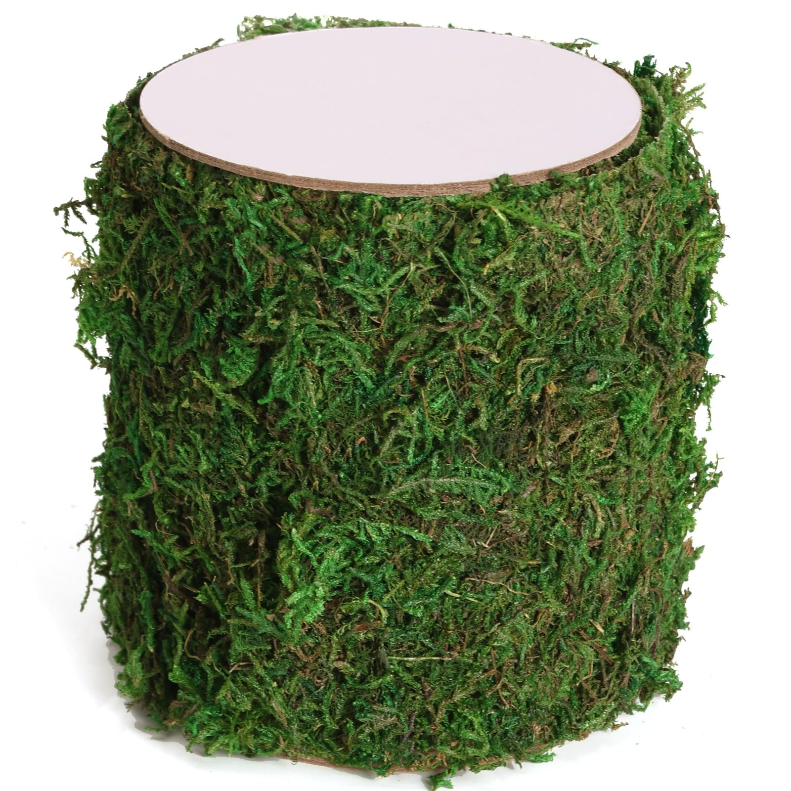 Moss Roll, Dried Moss for Crafts, Moss Table Runner for Fairy Gardens, Weddin
