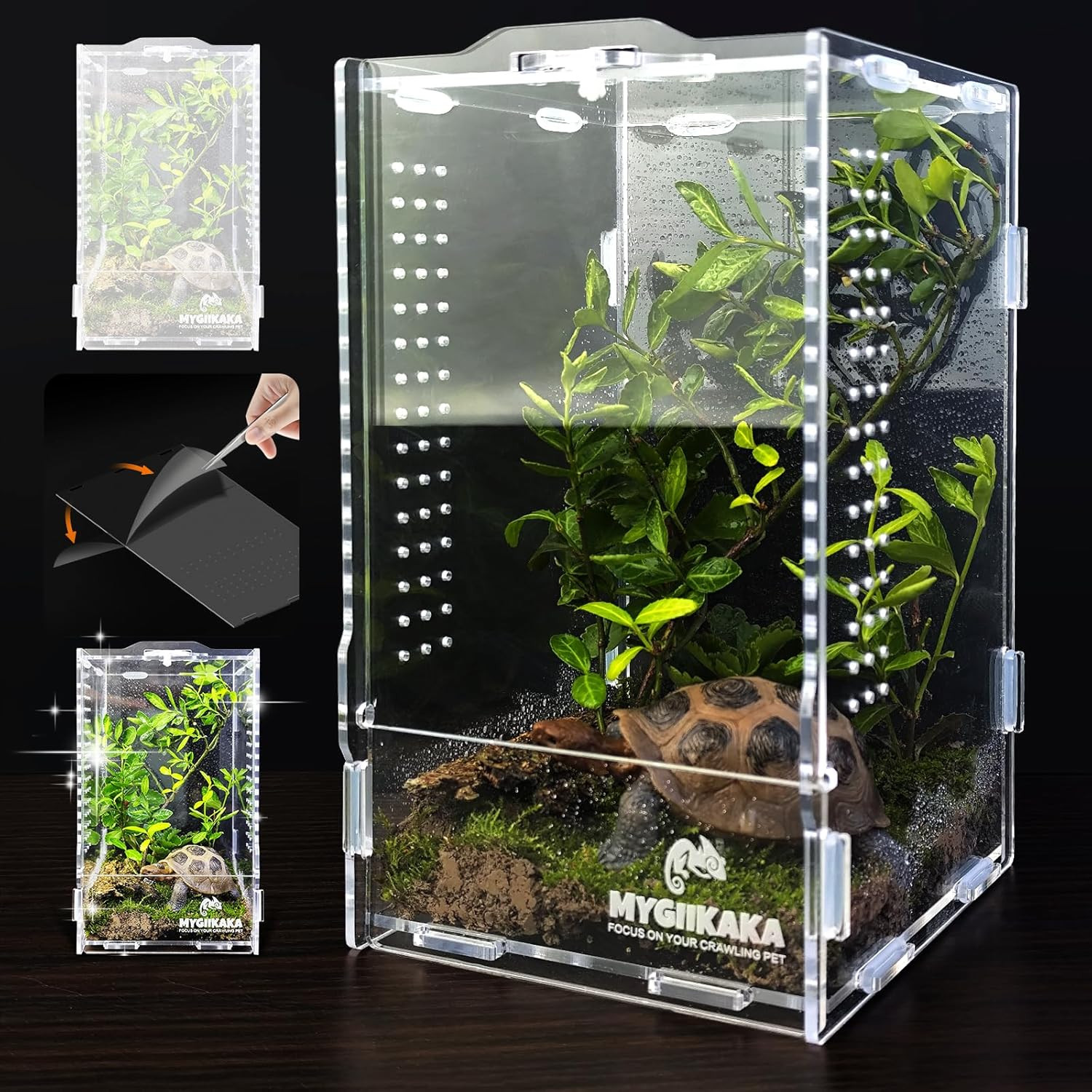 Acrylic Jumping Spider Habitat, Insect Terrarium, Bug Enclosure, Praying Mantis 