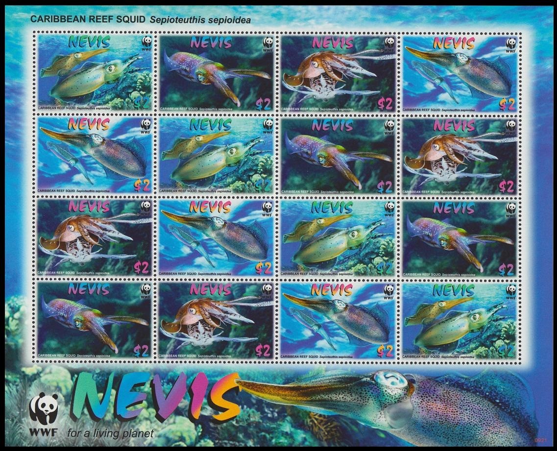 Nevis WWF Caribbean Reef Squid Sheetlet of 4 sets 2009 MNH SG#2155-2158