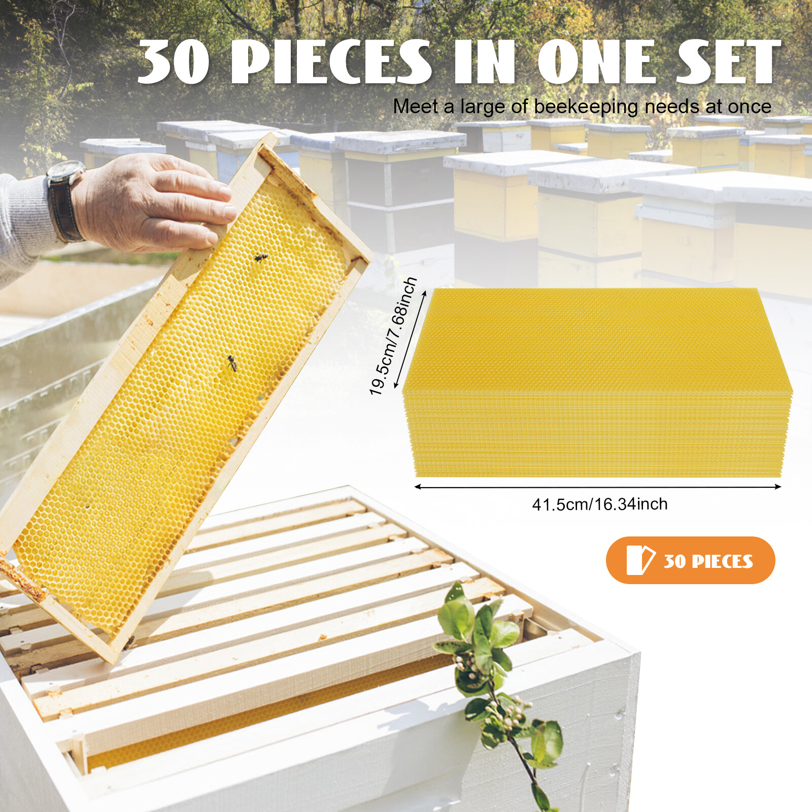 30x Honeycomb Foundation Beehive Wax Frames Waxing Beekeeping Equipment Bee