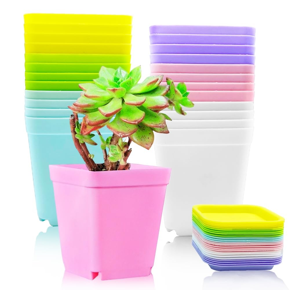 Haawooky 24 Pack Colorful Flower Pots Square 24 pack, Green,pink,purple,white 