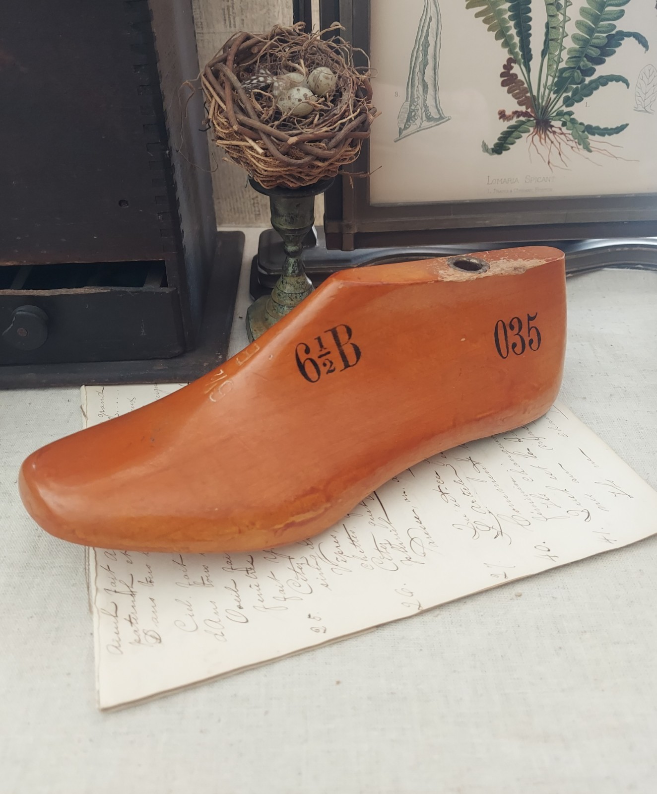 Vintage Wooden Mens Shoe Form Cobbler Left Foot 6 1/2 B Leader 12-67