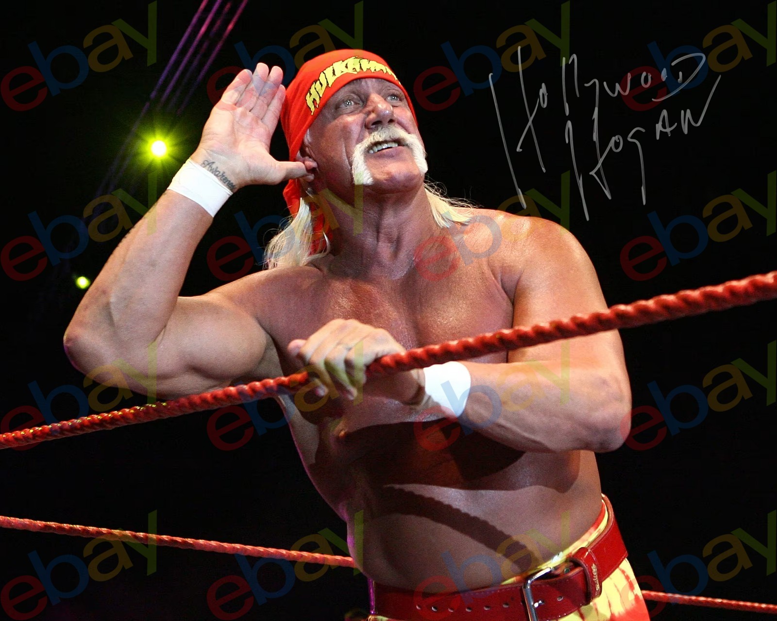 Hulk Hogan - REPRINT auto signed 8x10 Photo WWF WWE Iconic Legend