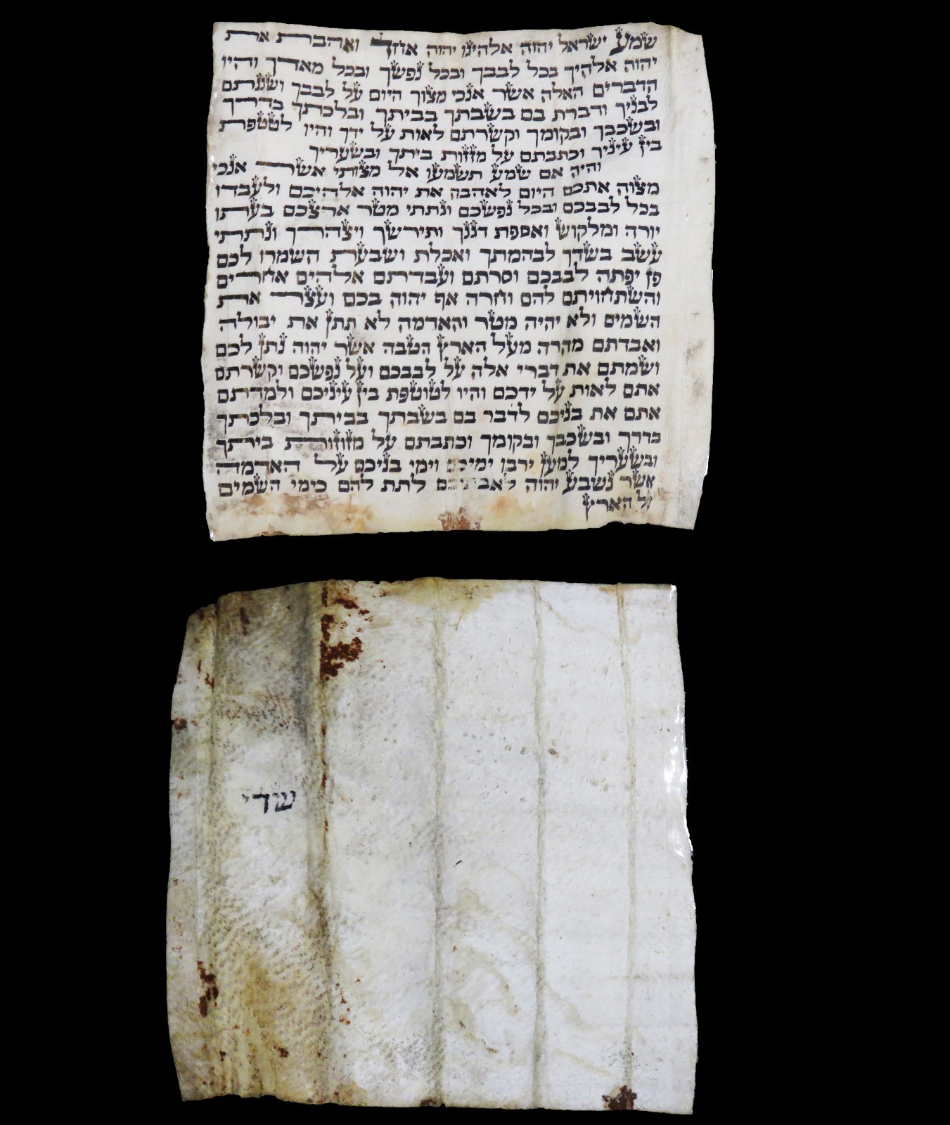 Amulet Scroll Hebrew Shema mezuzah on Parchment Judaica Jewish Prayer Handwritte