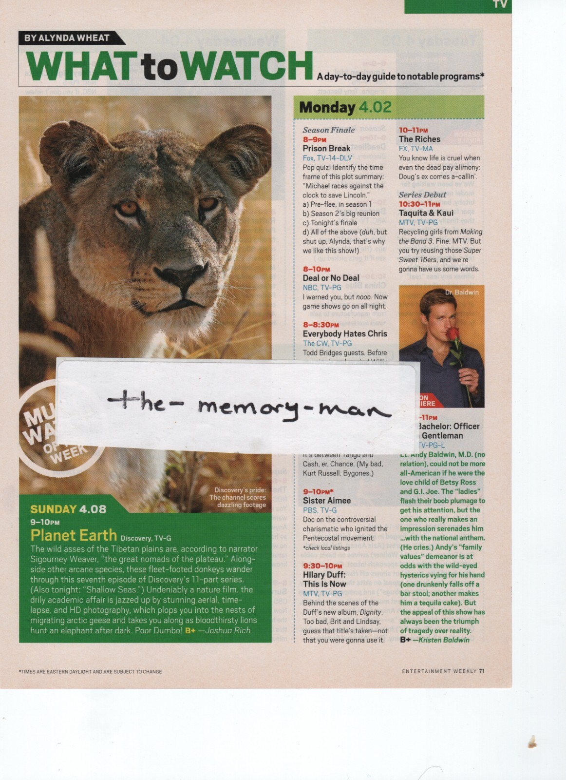 Planet Earth Lion 2007 Picture Print Ad Clipping Page