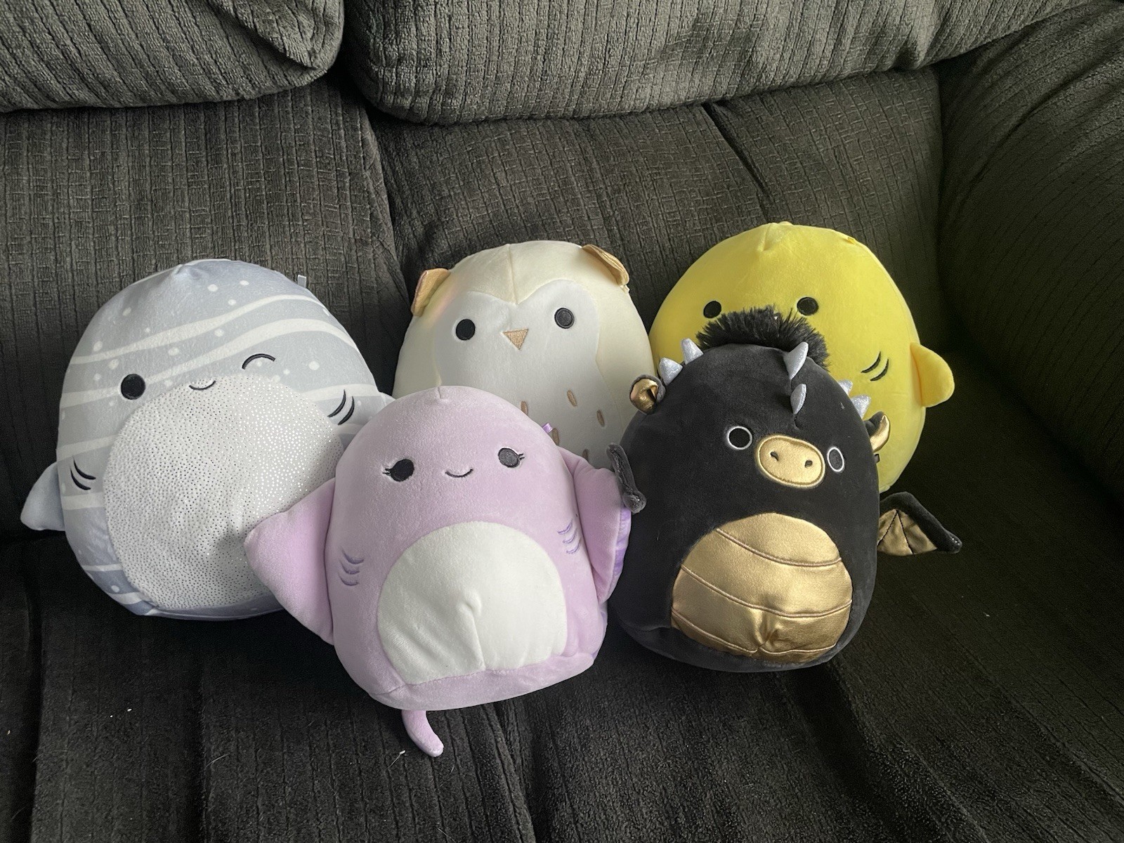 Squishmallows 8inch Lot of 5 Pets 