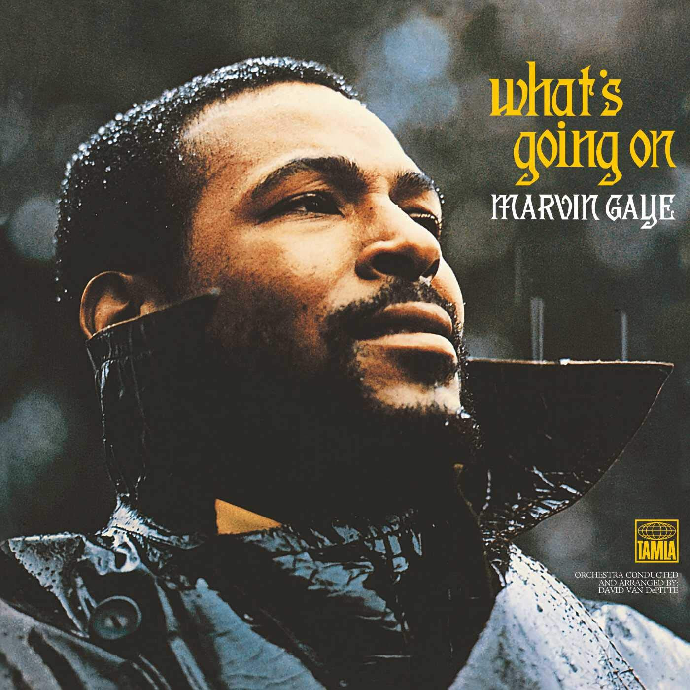 Marvin Gaye: What's Going On LP, 180 Grammes Vinyle