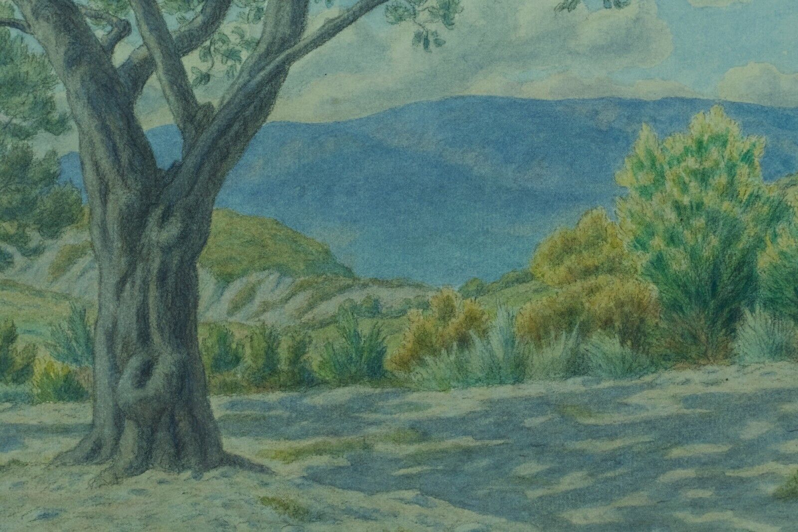 Antique Drawing Henri River Landscape the Drôme Buis-Les-Baronnies Broom