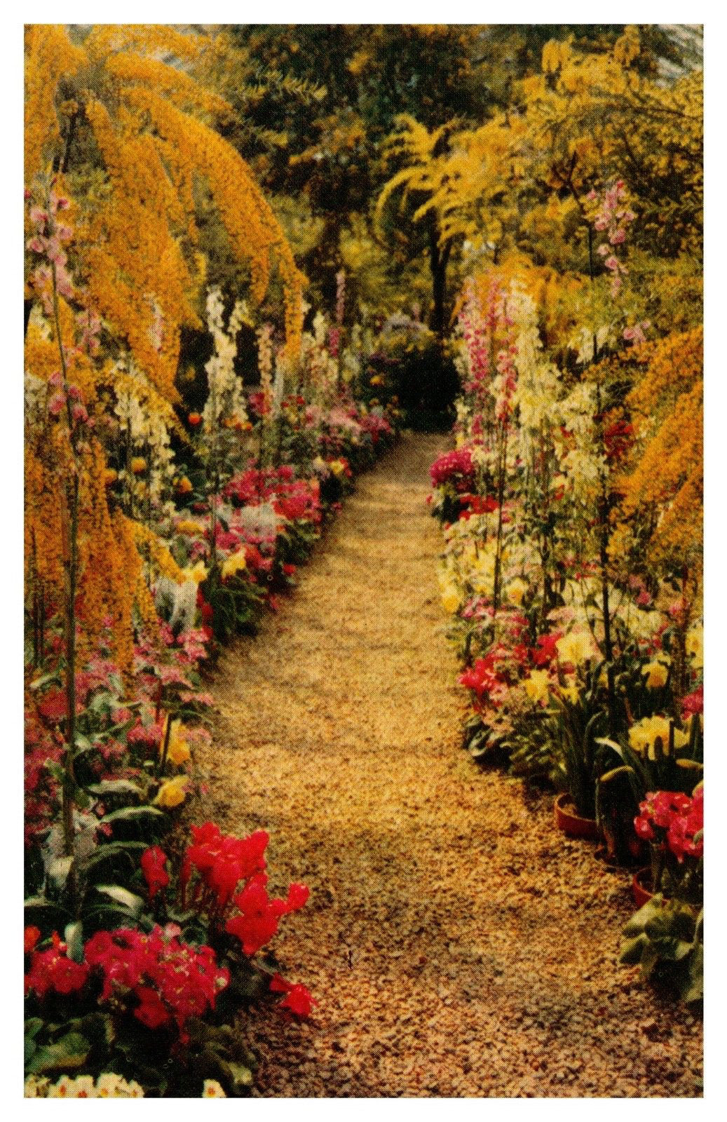 Kennett Square PA Pennsylvania Longwood Gardens Walkway Chrome Postcard