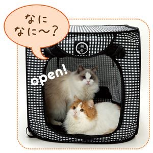 Portable Cage, Black [Pet Supplies] (Wholesale Item)