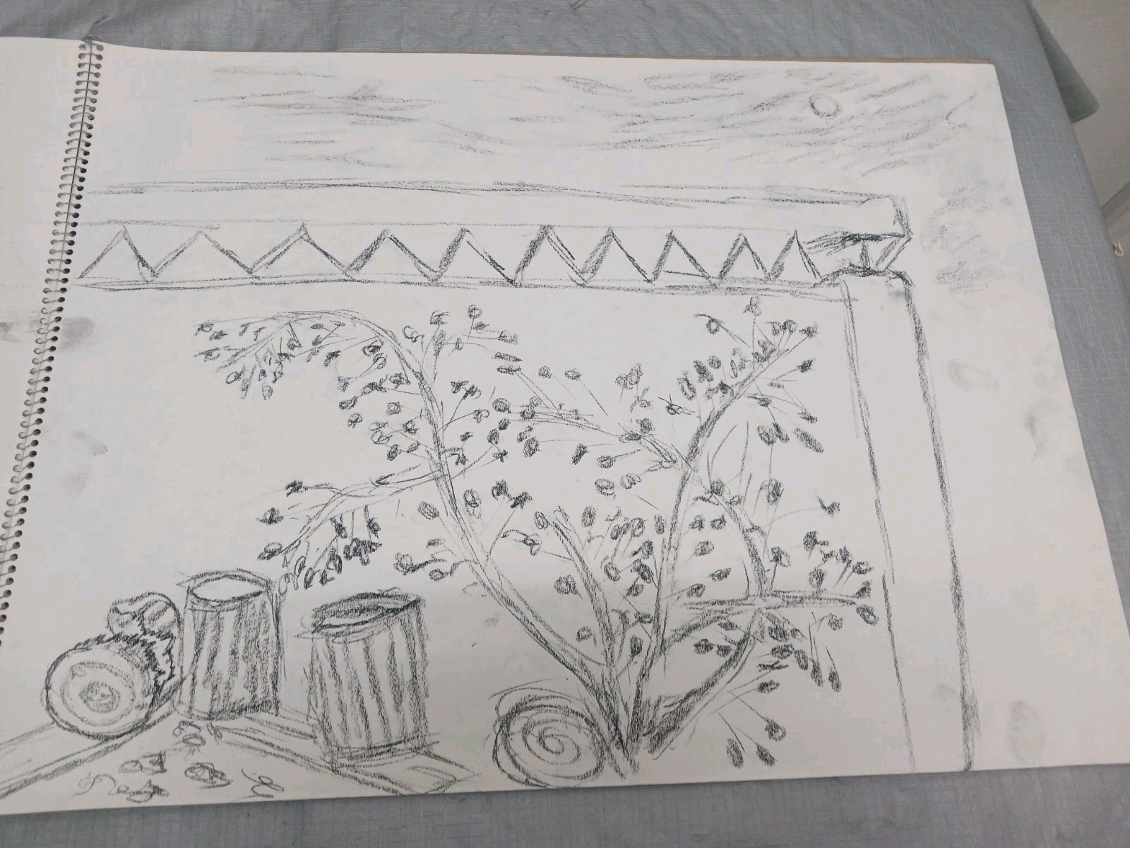 Student Art  Pencil Charcoal Sketche a scene from a garden or backyard 18" X 24"