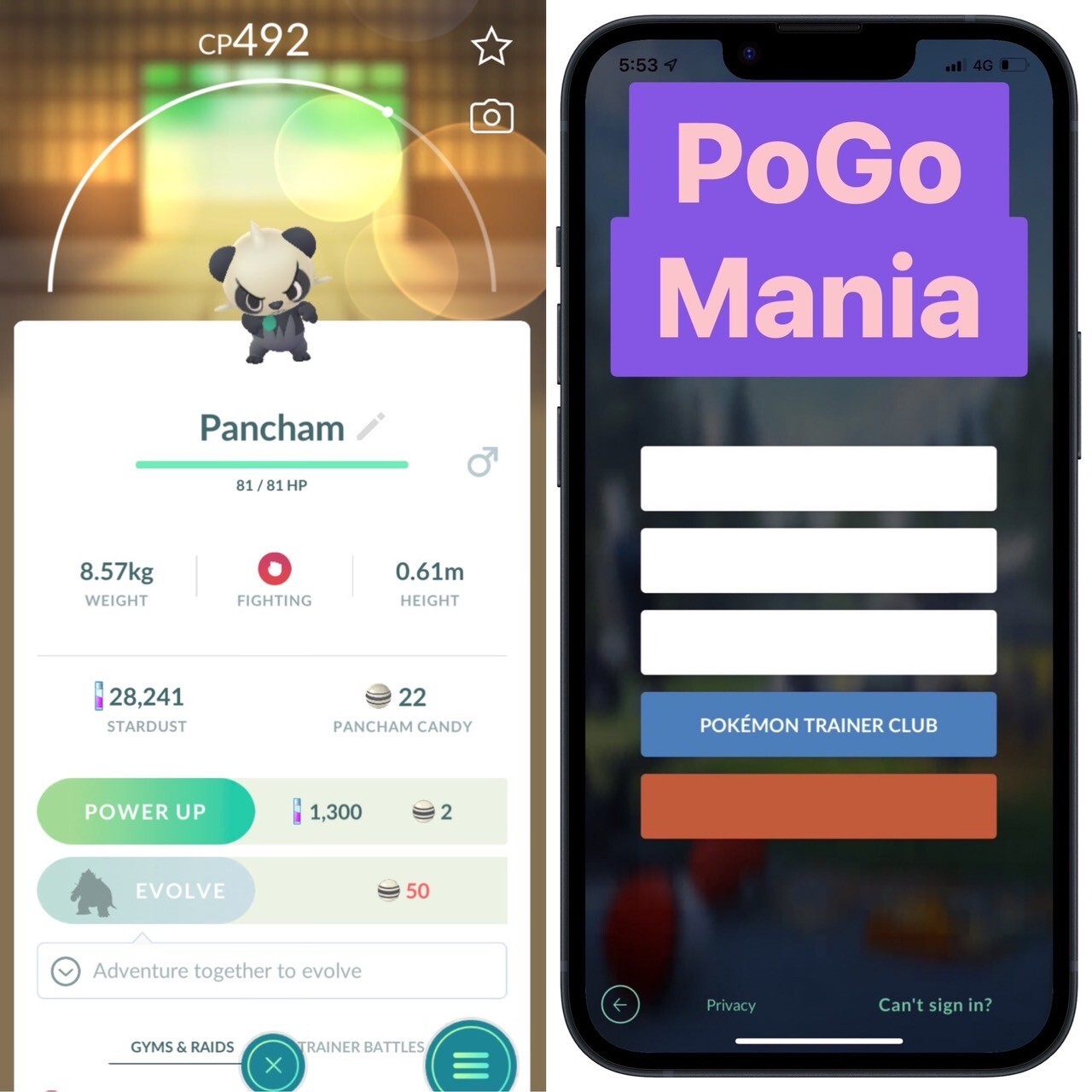 Pancham(NON shiny)💥LvL under 15💥PVP for GL💥PTC or trade 20k💥