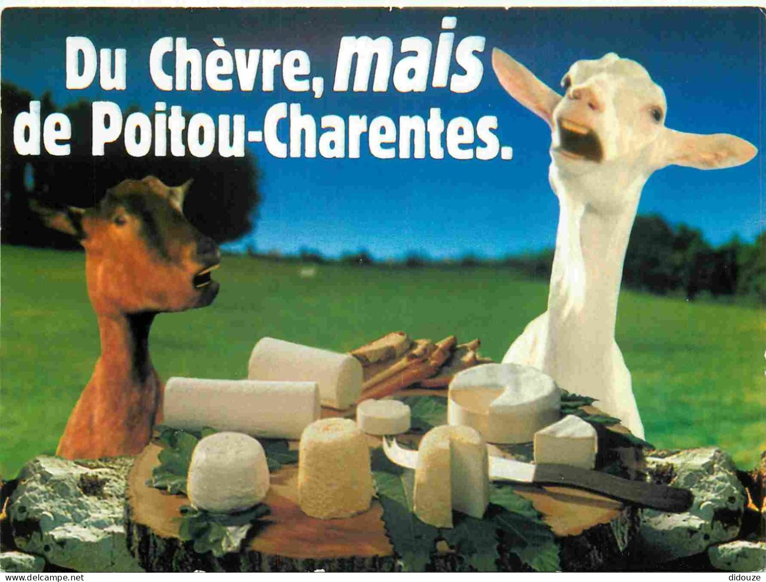 Postcard - Crafts - Cheese - Cheeses - Cheese Factory - Goat but P