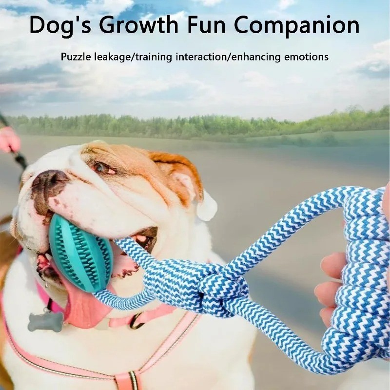 Interactive Dog Treat Ball Rope Toy Food Dispenser Chew Resistant 18cm