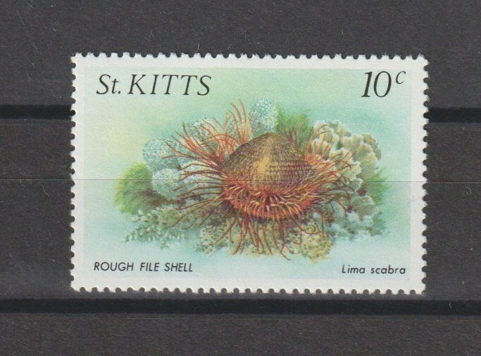 ST KITTS & NEVIS/ST KITTS 1984 SG 144w MNH