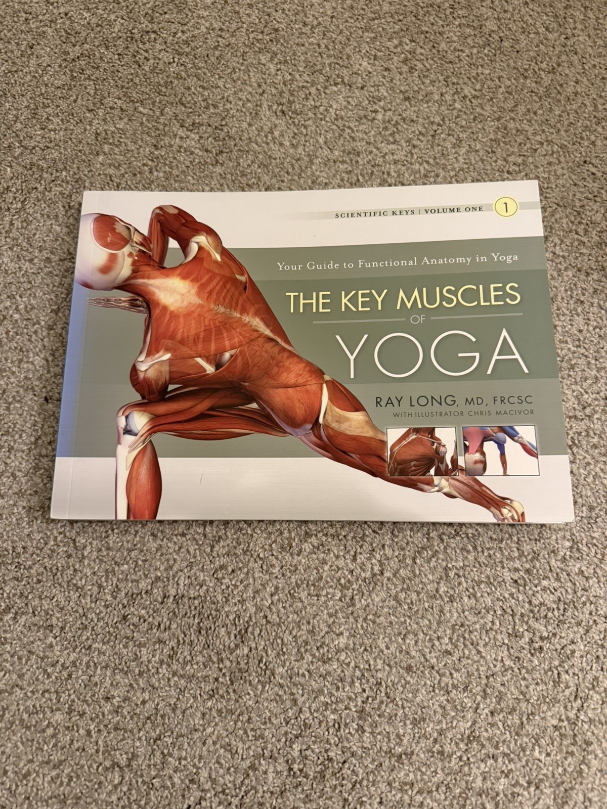 The Key Muscles of Yoga : Your Guide to Functional Anatomy in Yoga by Ray...