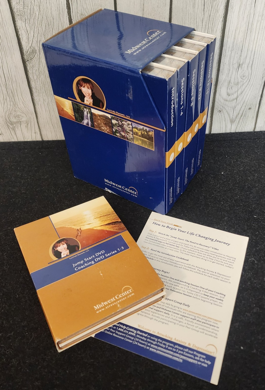 Midwest Center Anxiety Depression DVD Program Complete 21 Disc Lucinda Bassett