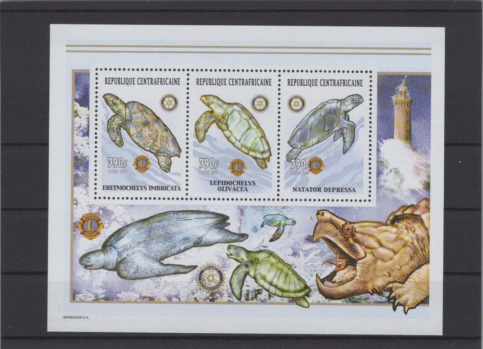 Central African Republic 2002 Sea Turtles Souv.Sheet XF Mint Never Hinged