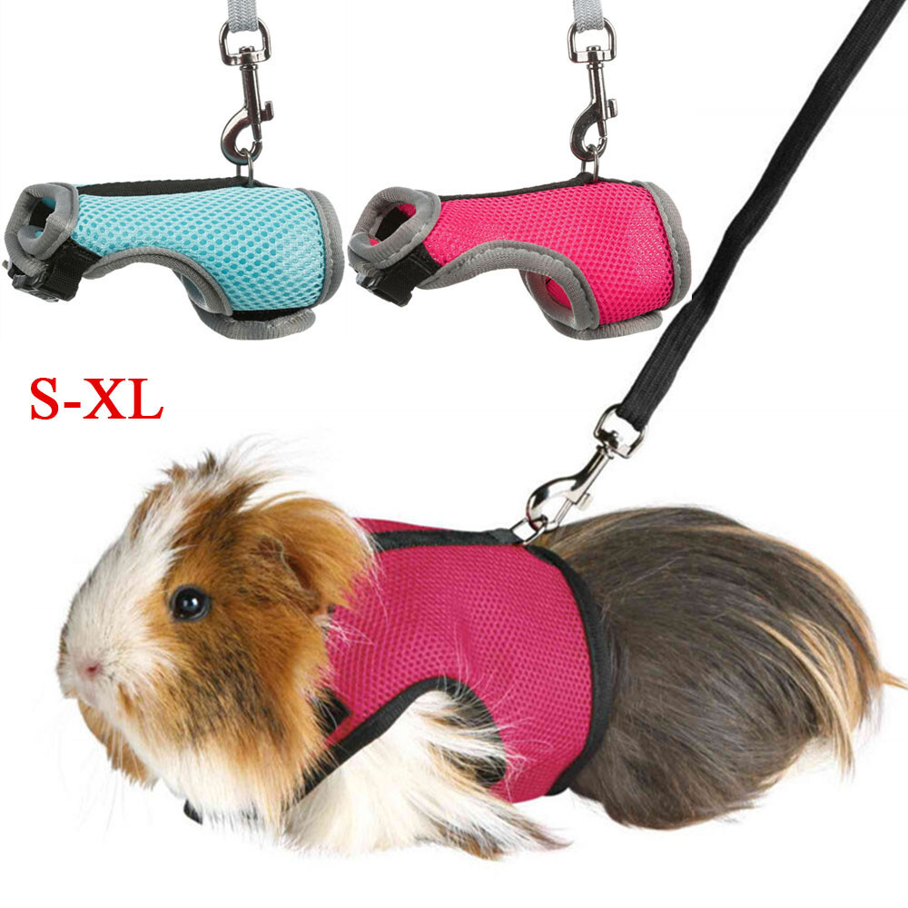 Rat Vest Leashes Set Small Pet Supplies Chest Strap Rabbit Harness Leash