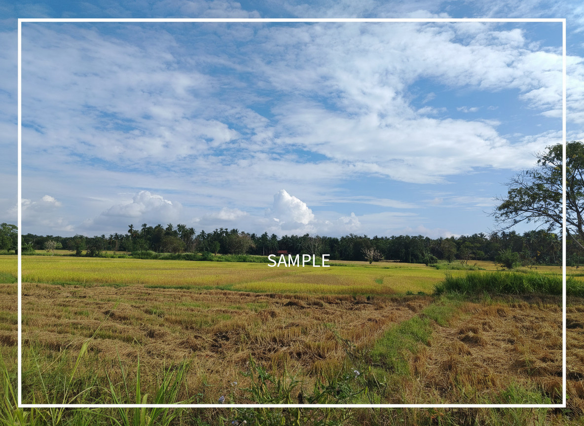 Nature Photo Product Wallpaper Image Picture Background for a print