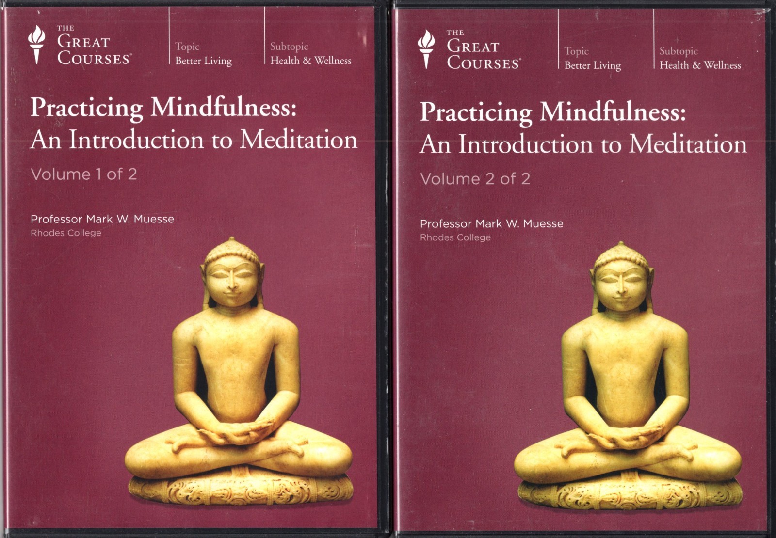 PRACTICING MINDFULNESS Intro Meditation CD Set of 12 Mark Muesse Volume 1 & 2