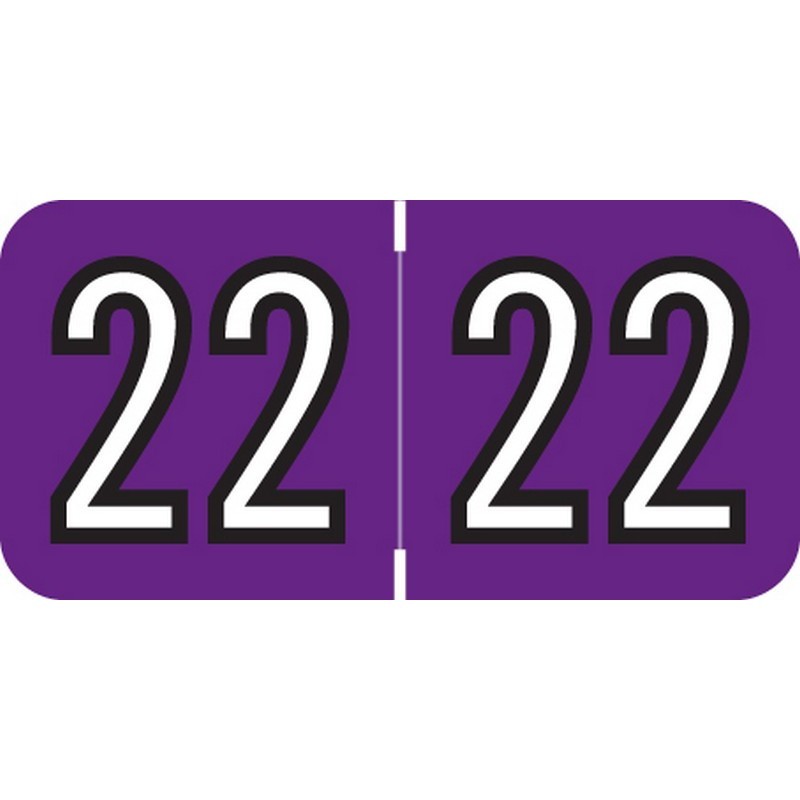 Barkley Compatible "22" Yearband Labels, Laminated Stock 1-1/2" x 3/4" - 500