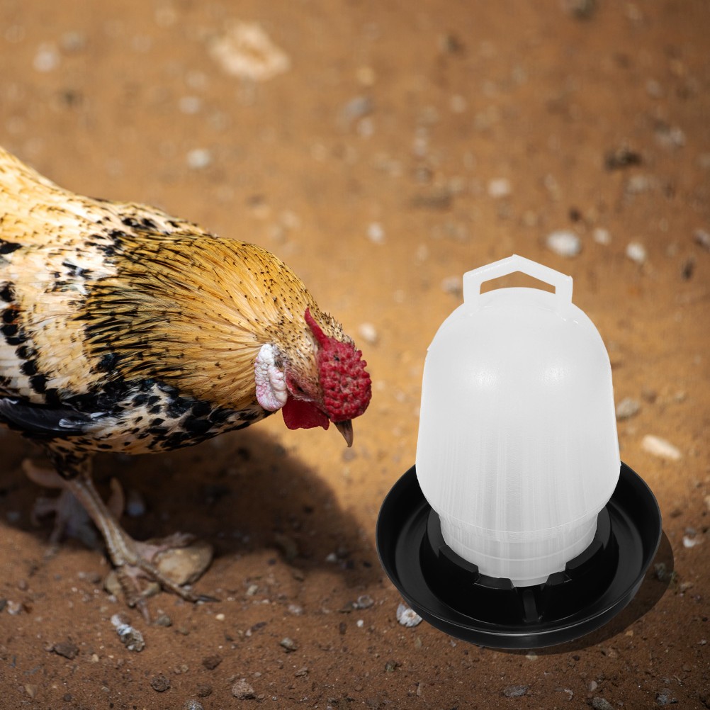 Automatic Drinking Fountain Baby Chick Waterer Chicken System Feeder