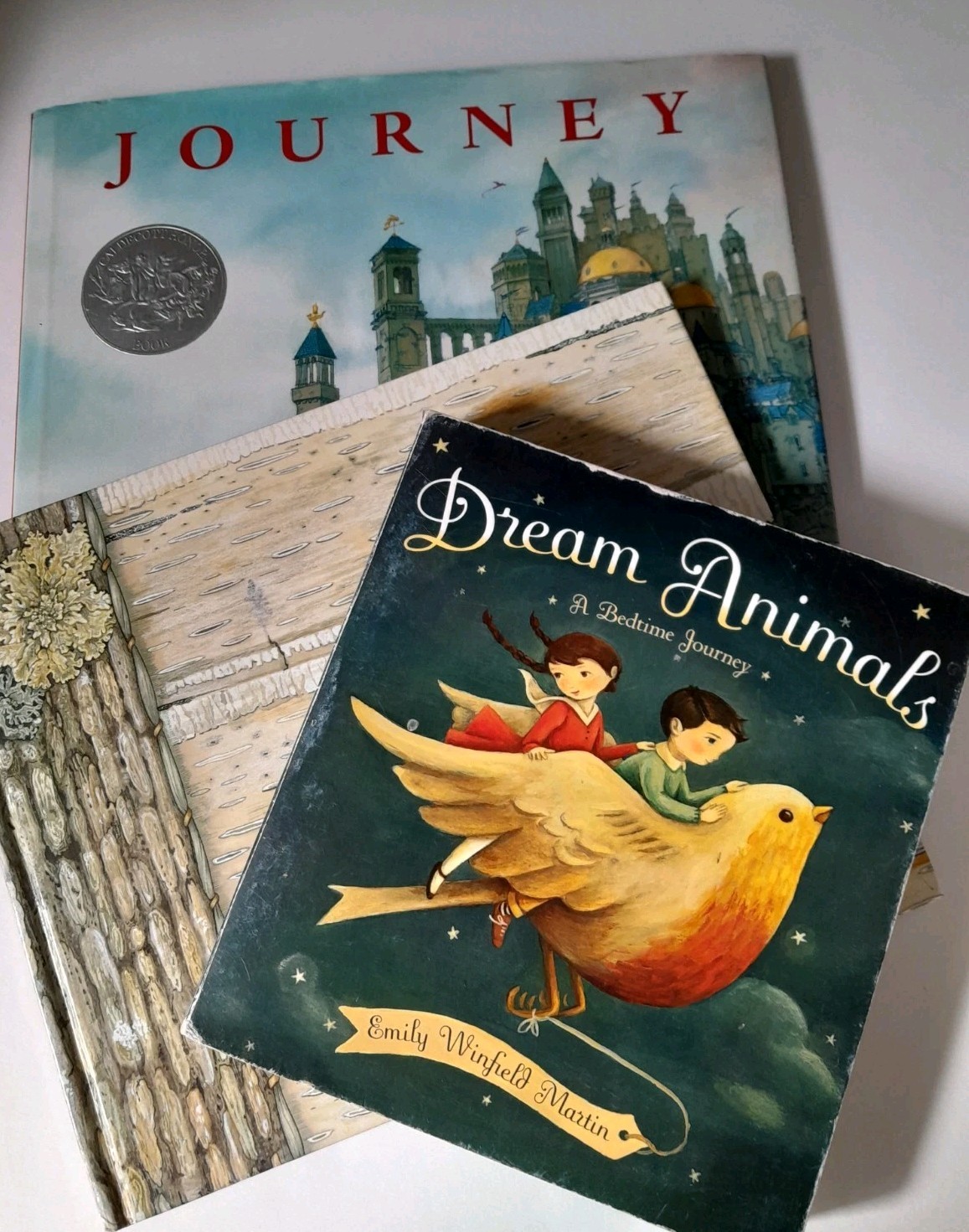 Lot Of 3 Children's Books